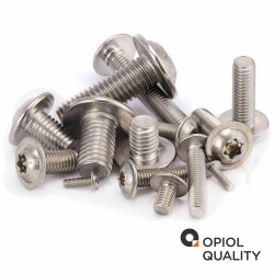 10 Stück Linsenkopfschrauben M8 X 60/60 mit Flansch ISO 7380, TORX, Vollgewinde, Edelstahl A2