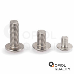 10 Stück Linsenkopfschrauben M8 X 60/60 mit Flansch ISO 7380, TORX, Vollgewinde, Edelstahl A2