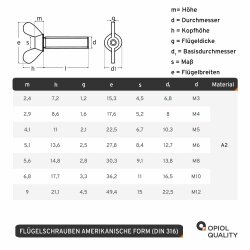 2 St&uuml;ck Fl&uuml;gelschrauben M  6 X 16  DIN 316...