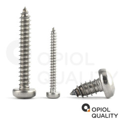10 Stück Linsenkopf-Blechschrauben mit Innensechsrund ISO 14585 C 4,2X13 TX20 Edelstahl A2